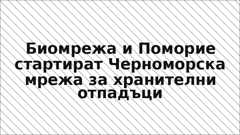 Биомрежа и Поморие стартират Черноморска мрежа за хранителни отпадъци