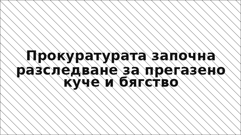 Прокуратурата започна разследване за прегазено куче и бягство