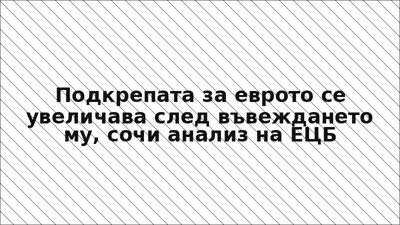 Подкрепата за еврото се увеличава след въвеждането му, сочи анализ на ЕЦБ