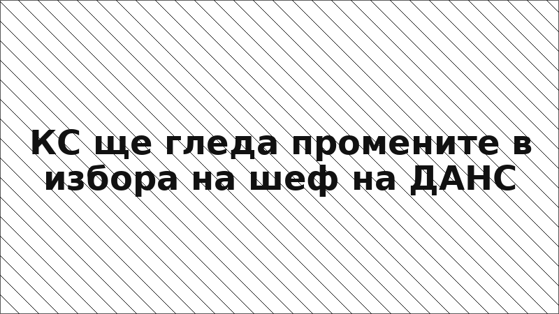 КС ще гледа промените в избора на шеф на ДАНС