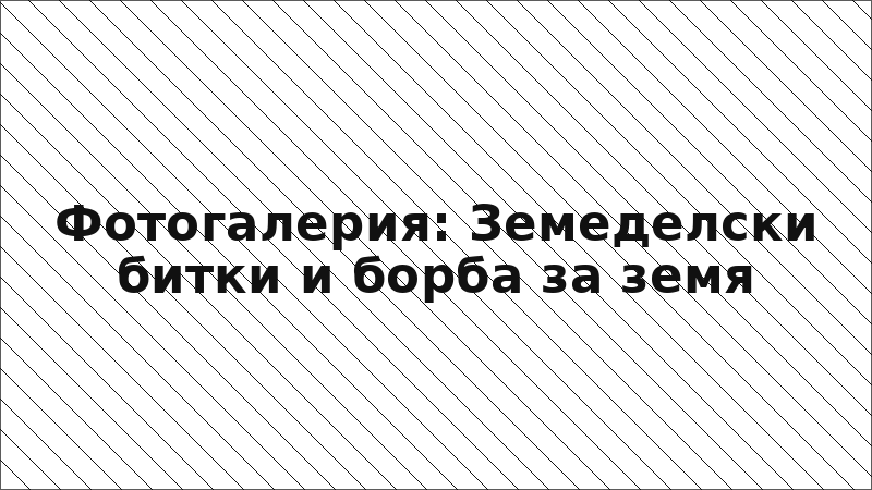 Фотогалерия: Земеделски битки и борба за земя