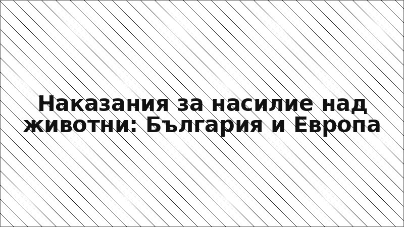 Наказания за насилие над животни: България и Европа