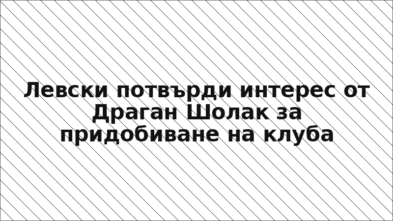 Левски потвърди интерес от Драган Шолак за придобиване на клуба