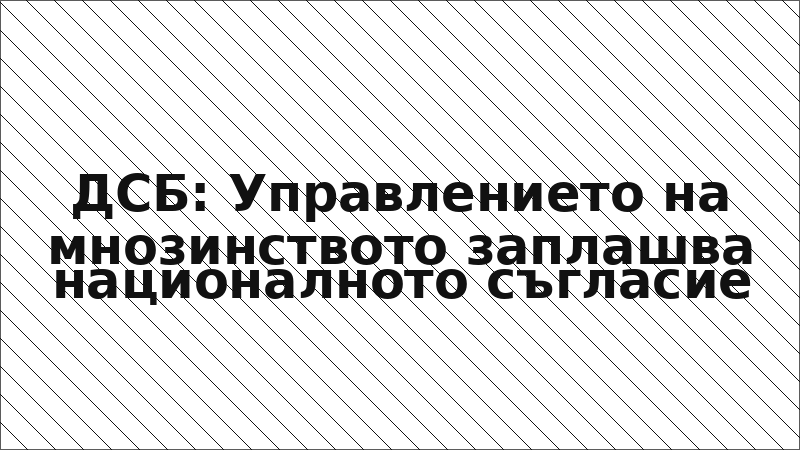 ДСБ: Управлението на мнозинството заплашва националното съгласие