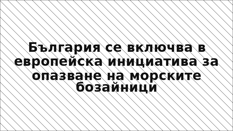 България се включва в европейска инициатива за опазване на морските бозайници