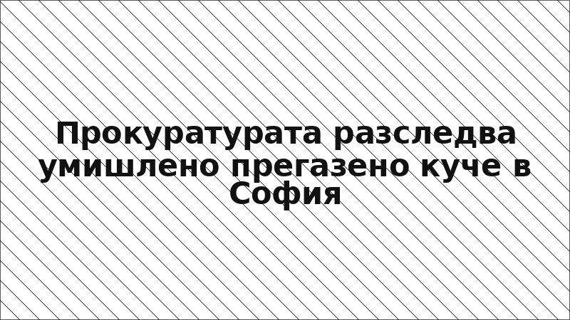 Прокуратурата разследва умишлено прегазено куче в София