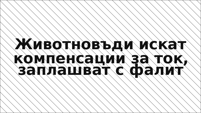 Животновъди искат компенсации за ток, заплашват с фалит