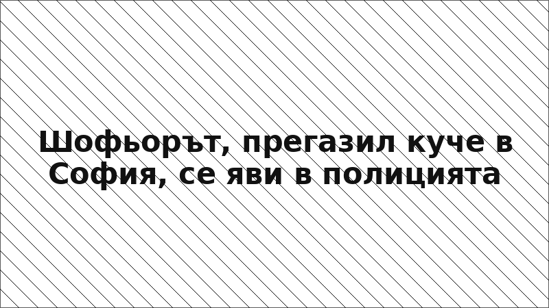Шофьорът, прегазил куче в София, се яви в полицията