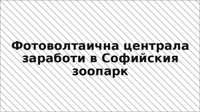 Фотоволтаична централа заработи в Софийския зоопарк