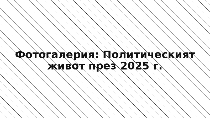 Фотогалерия: Политическият живот през 2025 г.