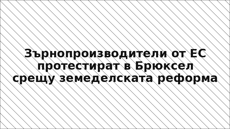 Зърнопроизводители от ЕС протестират в Брюксел срещу земеделската реформа