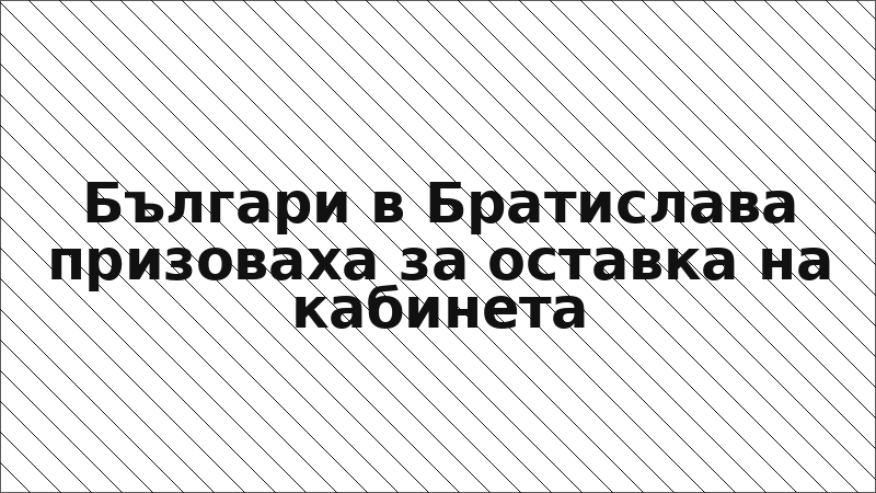 Българи в Братислава призоваха за оставка на кабинета