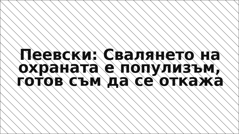 Пеевски: Свалянето на охраната е популизъм, готов съм да се откажа