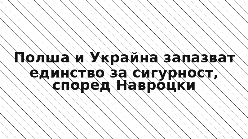 Полша и Украйна запазват единство за сигурност, според Навроцки