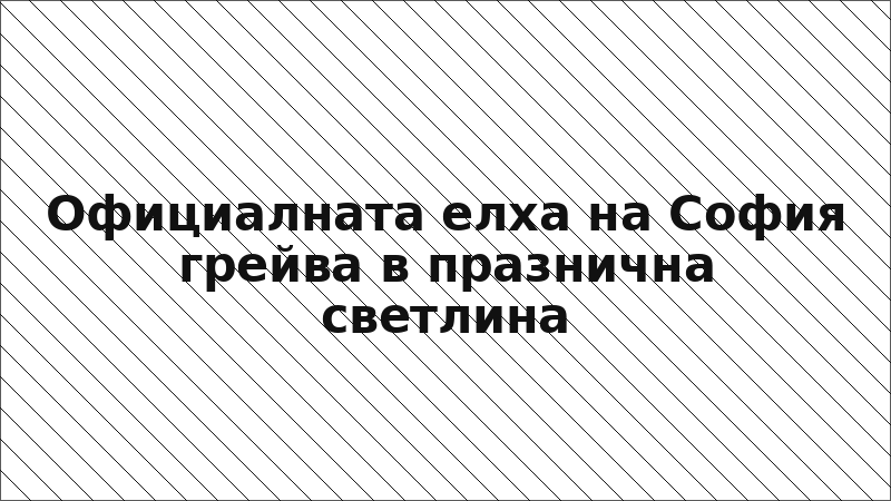 Официалната елха на София грейва в празнична светлина