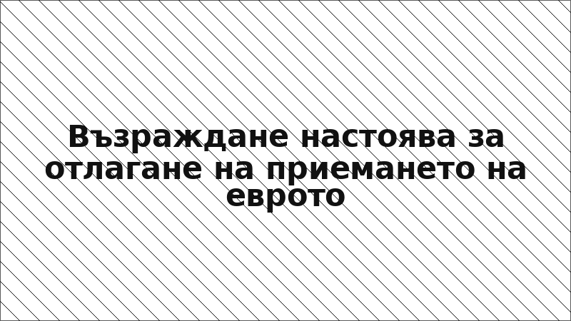 Възраждане настоява за отлагане на приемането на еврото