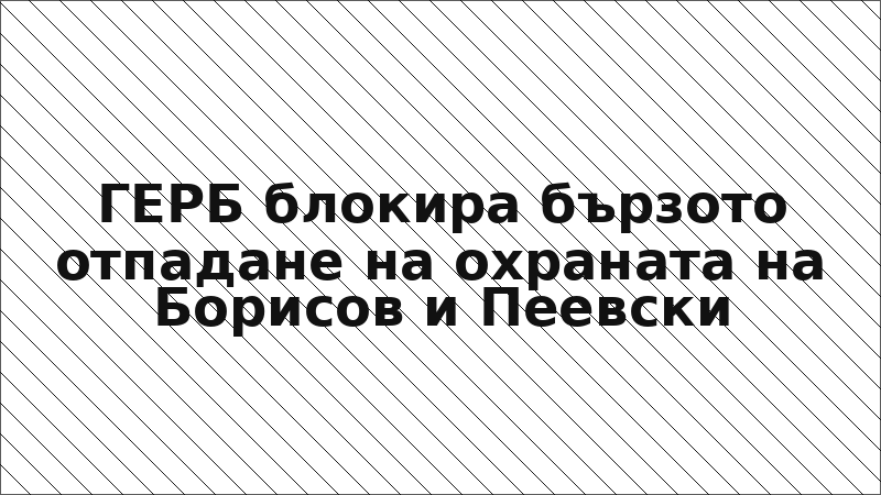 ГЕРБ блокира бързото отпадане на охраната на Борисов и Пеевски