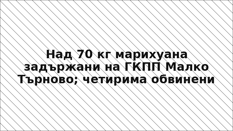 Над 70 кг марихуана задържани на ГКПП Малко Търново; четирима обвинени