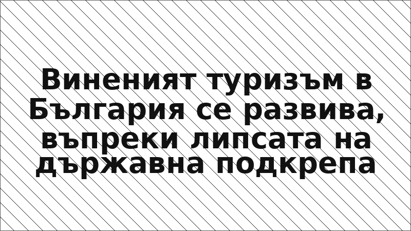 Виненият туризъм в България се развива, въпреки липсата на държавна подкрепа