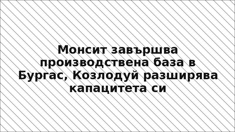 Монсит завършва производствена база в Бургас, Козлодуй разширява капацитета си