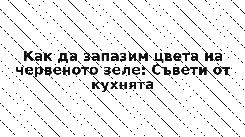 Как да запазим цвета на червеното зеле: Съвети от кухнята