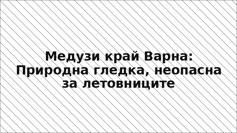 Медузи край Варна: Природна гледка, неопасна за летовниците