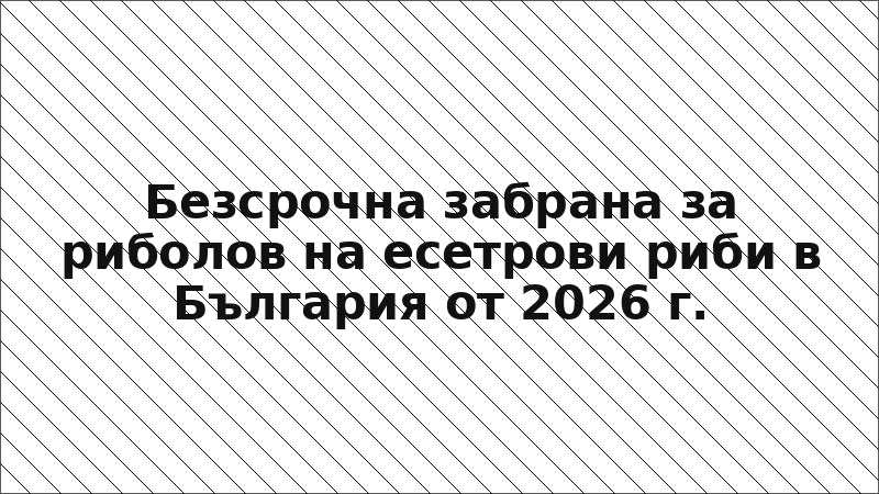 Безсрочна забрана за риболов на есетрови риби в България от 2026 г.