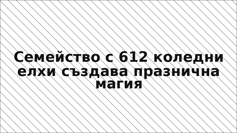 Семейство с 612 коледни елхи създава празнична магия