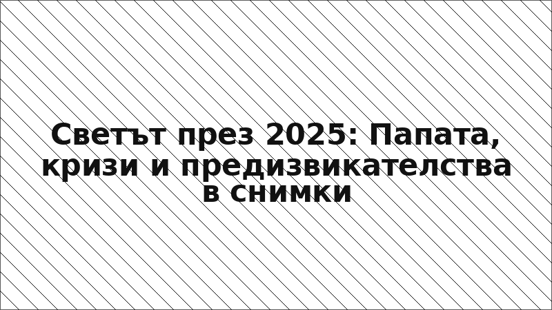 Светът през 2025: Папата, кризи и предизвикателства в снимки