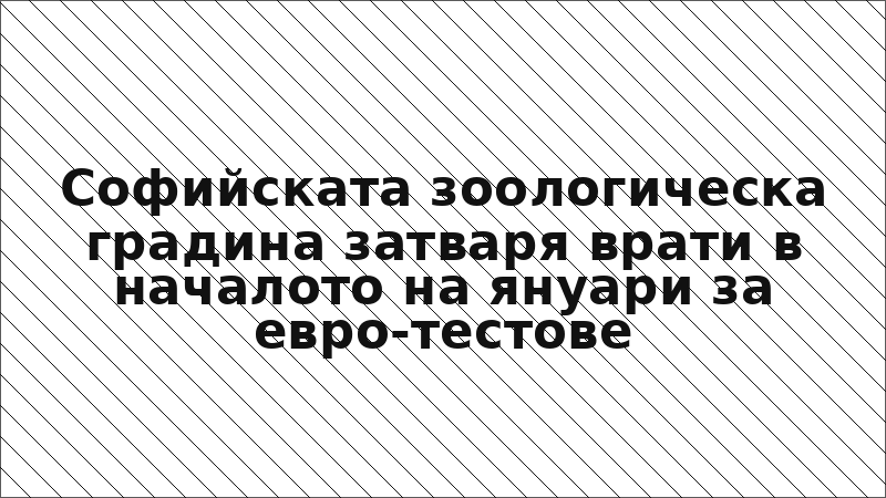 Софийската зоологическа градина затваря врати в началото на януари за евро-тестове