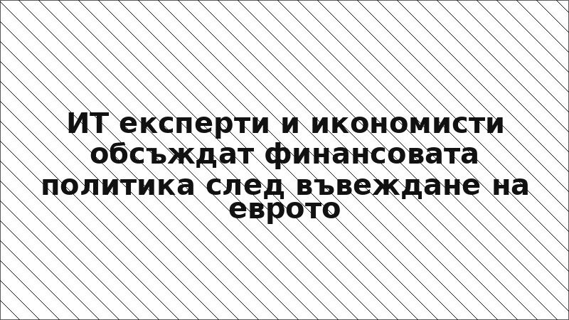 ИТ експерти и икономисти обсъждат финансовата политика след въвеждане на еврото