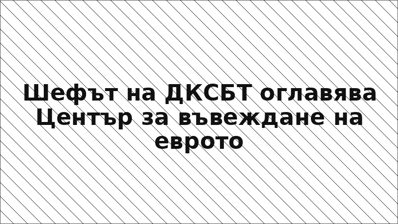 Шефът на ДКСБТ оглавява Център за въвеждане на еврото
