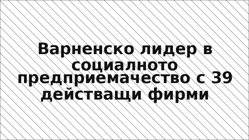 Варненско лидер в социалното предприемачество с 39 действащи фирми