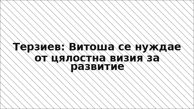 Терзиев: Витоша се нуждае от цялостна визия за развитие