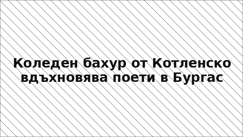 Коледен бахур от Котленско вдъхновява поети в Бургас