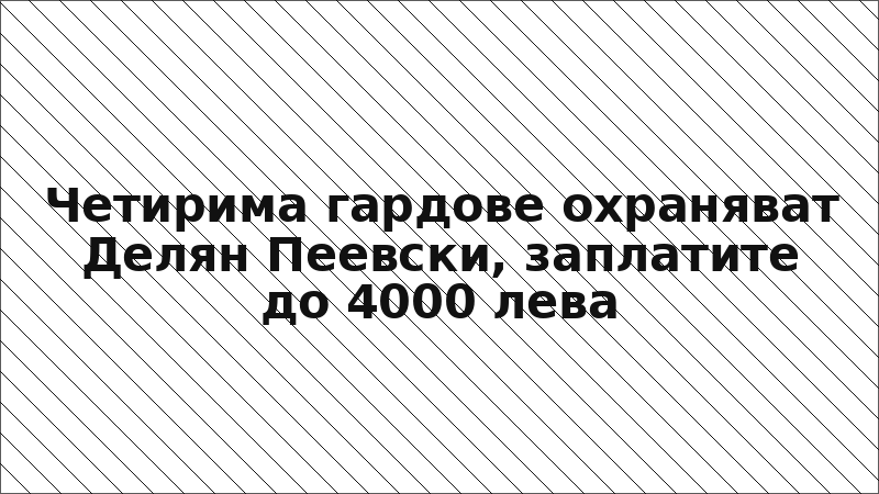 Четирима гардове охраняват Делян Пеевски, заплатите до 4000 лева