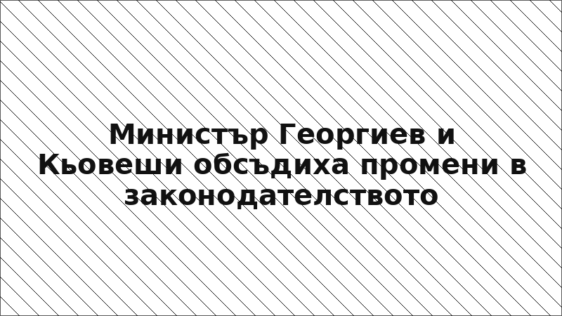 Министър Георгиев и Кьовеши обсъдиха промени в законодателството