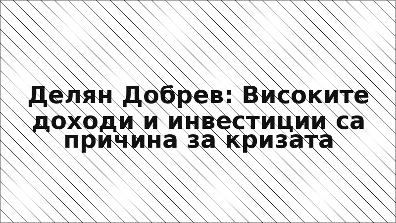 Делян Добрев: Високите доходи и инвестиции са причина за кризата