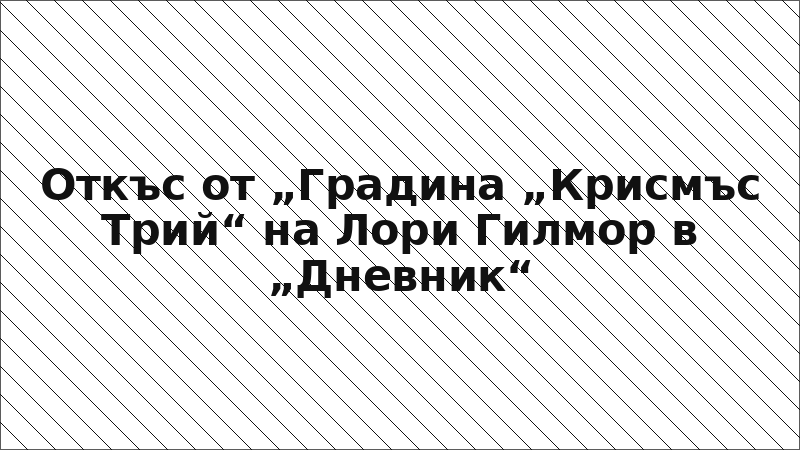 Откъс от „Градина „Крисмъс Трий“ на Лори Гилмор в „Дневник“