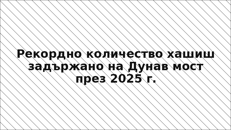 Рекордно количество хашиш задържано на Дунав мост през 2025 г.