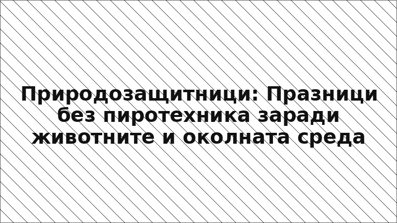 Природозащитници: Празници без пиротехника заради животните и околната среда