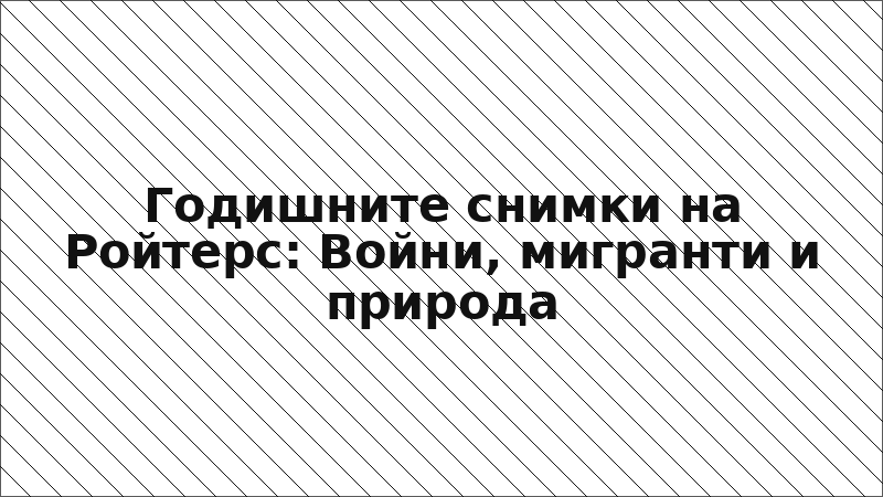 Годишните снимки на Ройтерс: Войни, мигранти и природа