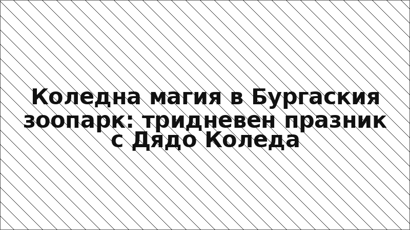 Коледна магия в Бургаския зоопарк: тридневен празник с Дядо Коледа