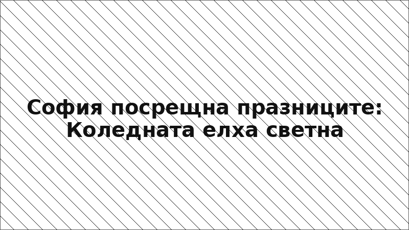 София посрещна празниците: Коледната елха светна