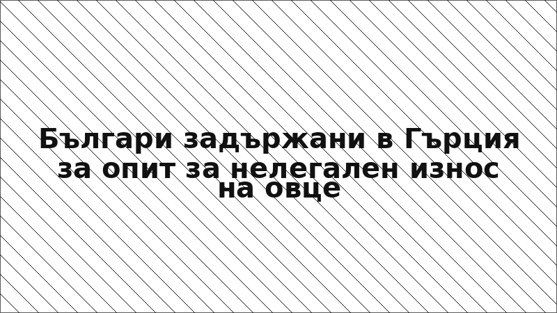 Българи задържани в Гърция за опит за нелегален износ на овце