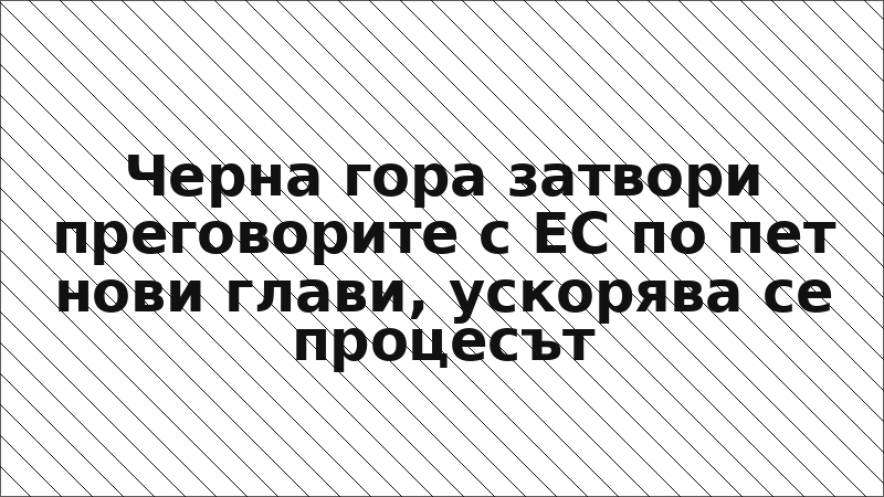 Черна гора затвори преговорите с ЕС по пет нови глави, ускорява се процесът