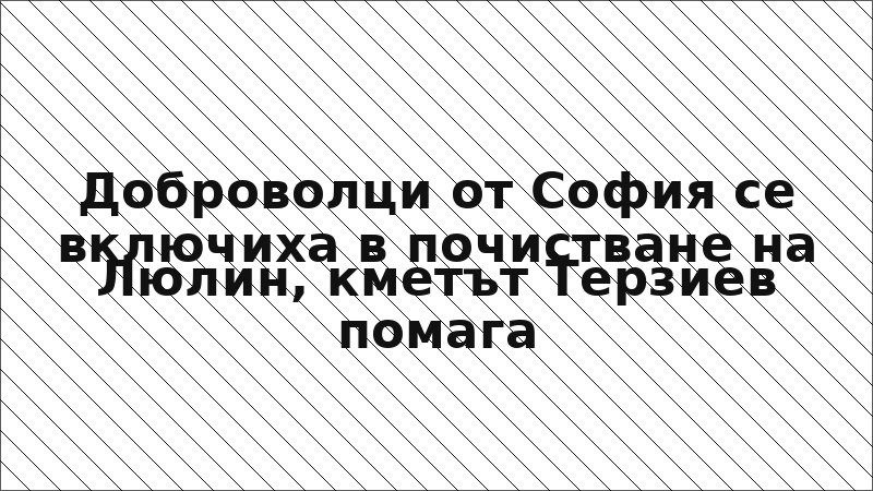 Доброволци от София се включиха в почистване на Люлин, кметът Терзиев помага