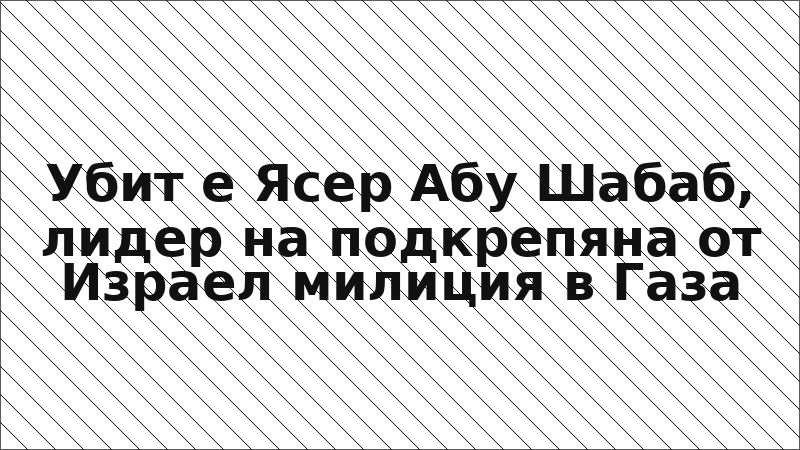 Убит е Ясер Абу Шабаб, лидер на подкрепяна от Израел милиция в Газа