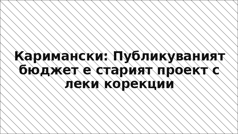 Каримански: Публикуваният бюджет е старият проект с леки корекции