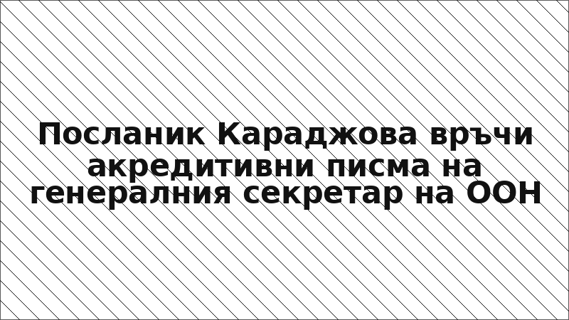 Посланик Караджова връчи акредитивни писма на генералния секретар на ООН